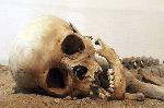 Житель Энгельса нашел в погребе скелет человека
